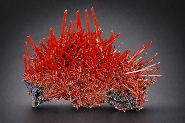 Crocoite crystal cluster from the Adelaide Mine, Dundas mineral field, Zeehan District, Tasmania, Australia — ex. Albert Chapman collection (1973).